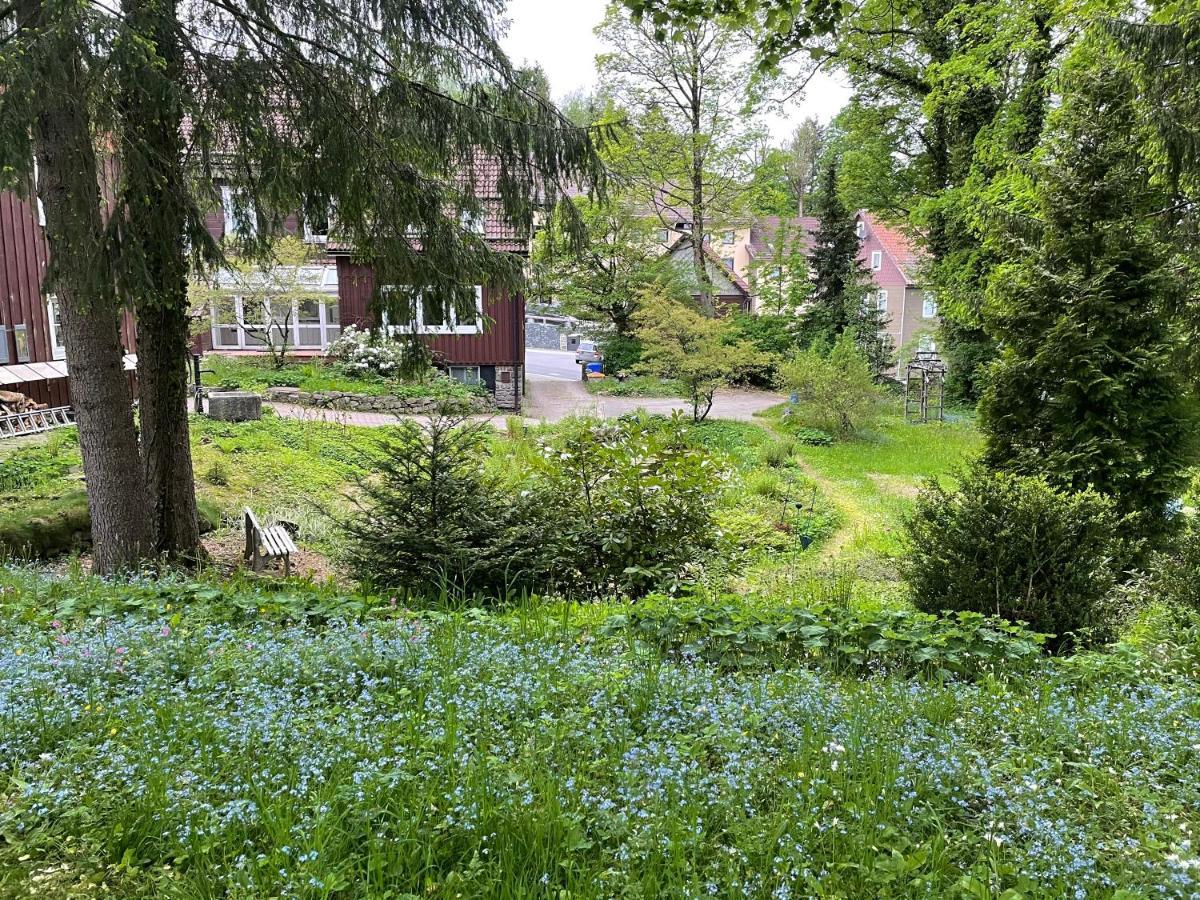 Liebevoll Eingerichtetes Ferienhaus Mit Grossem Garten Clausthal-Zellerfeld Exterior photo