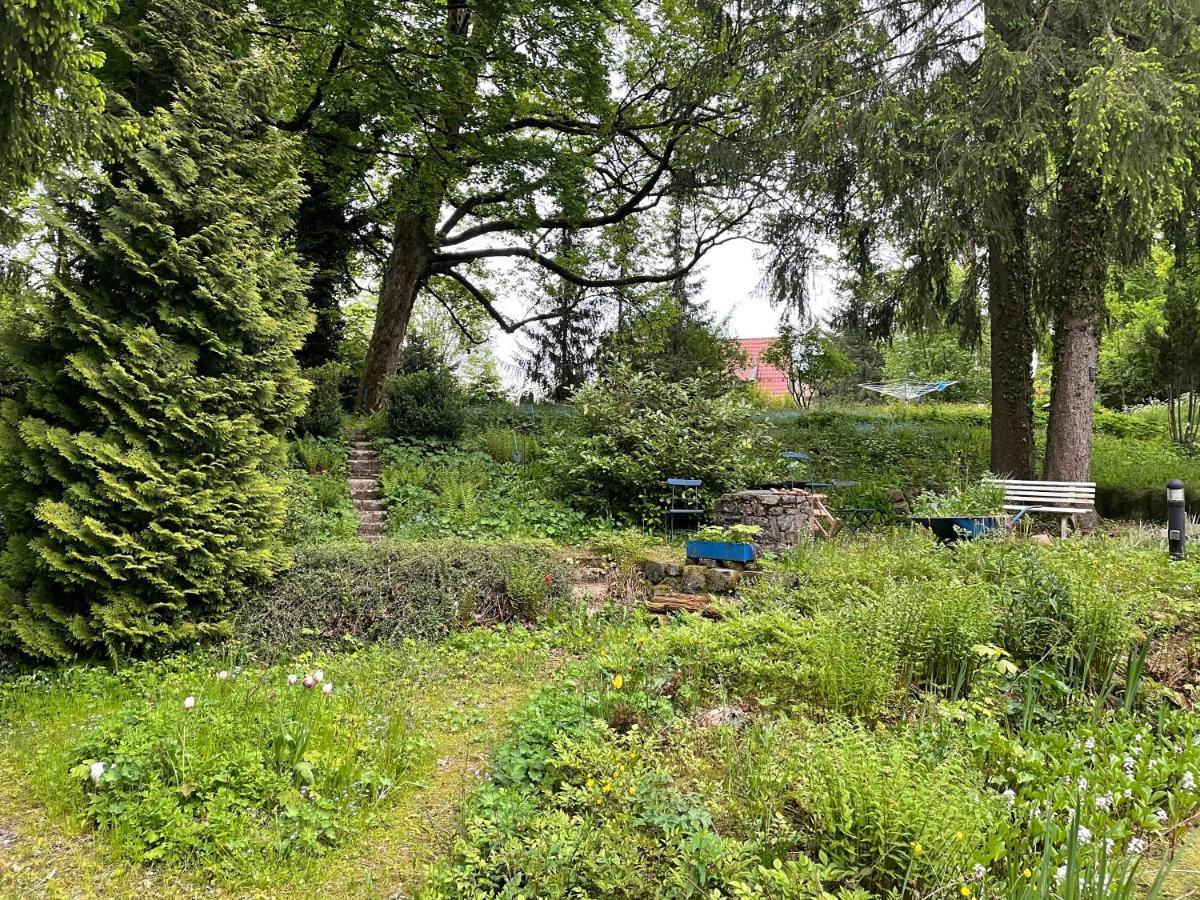 Liebevoll Eingerichtetes Ferienhaus Mit Grossem Garten Clausthal-Zellerfeld Exterior photo