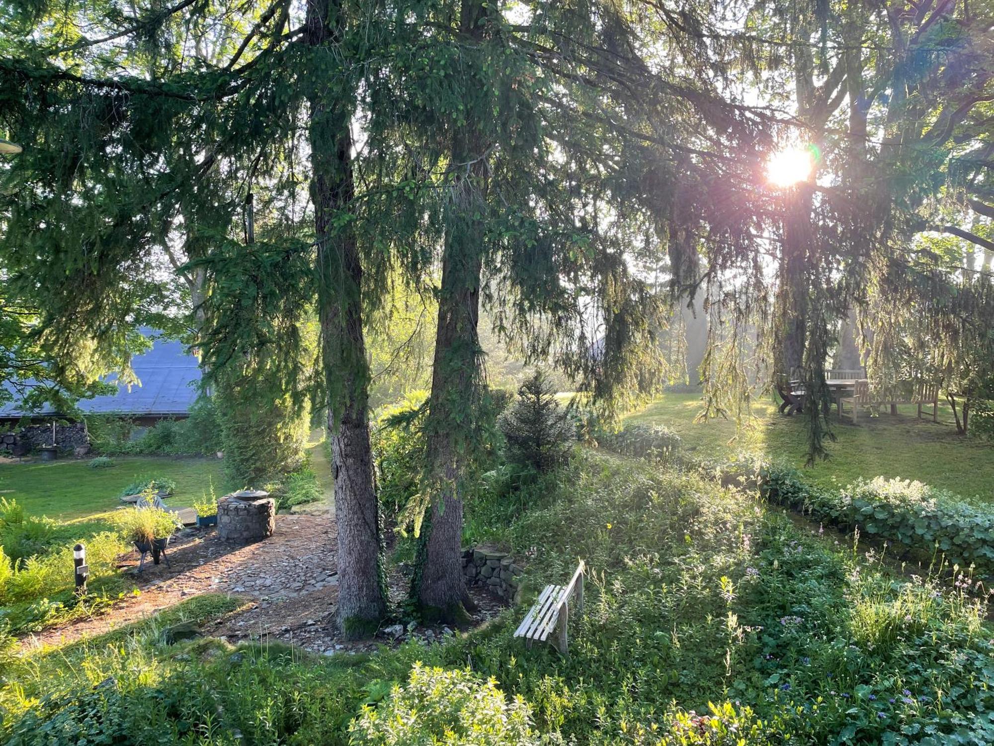 Liebevoll Eingerichtetes Ferienhaus Mit Grossem Garten Clausthal-Zellerfeld Exterior photo